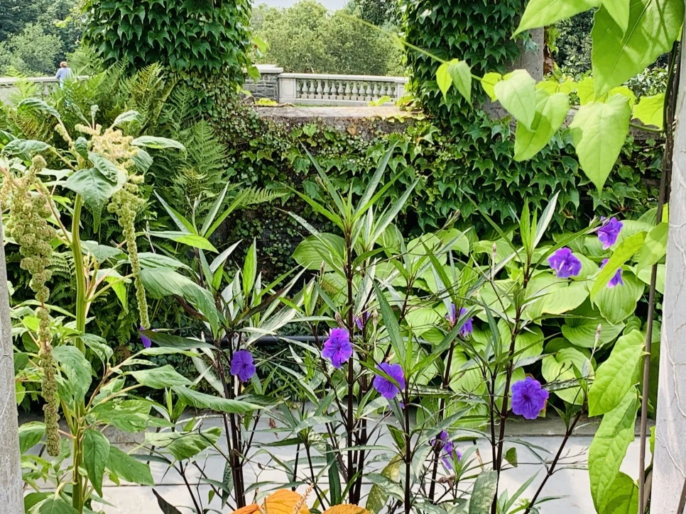 IMG_9385.jpg?type=w966