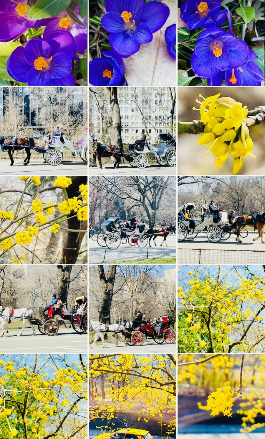 IMG_5667.jpg?type=w966