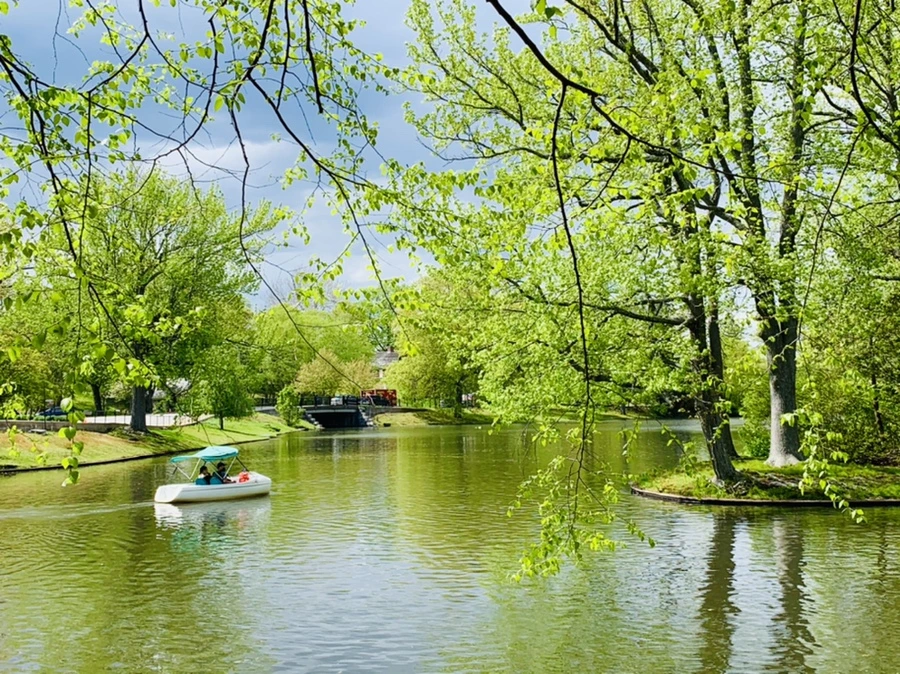 IMG_2484.jpg?type=w966