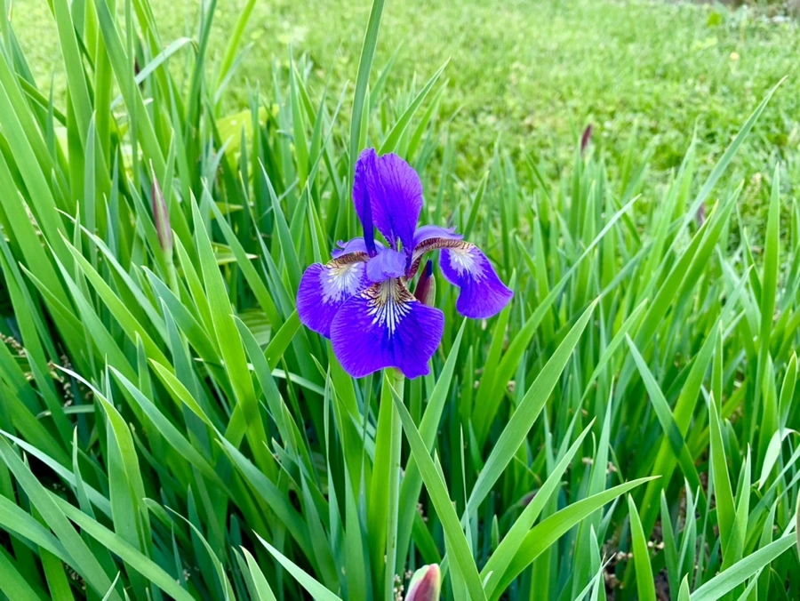 IMG_3234.jpg?type=w966