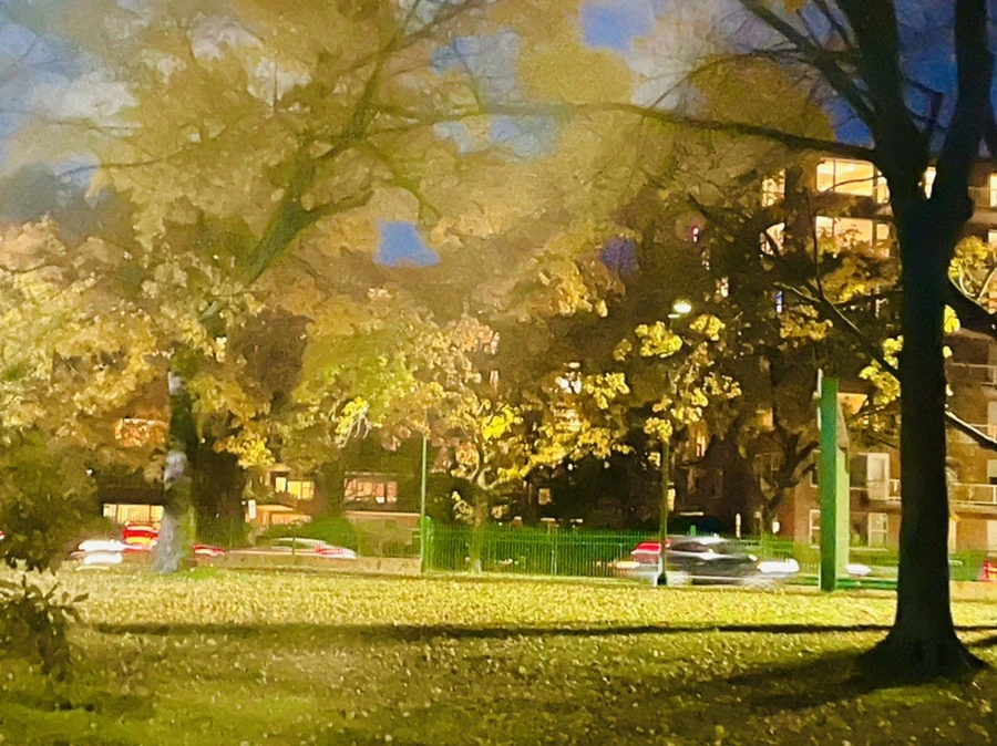 IMG_2828.jpg?type=w966