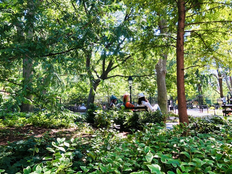 IMG_5461.jpg?type=w966