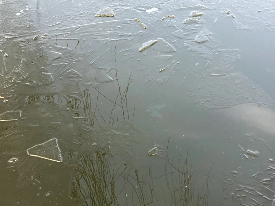 IMG_2541.jpg?type=w966