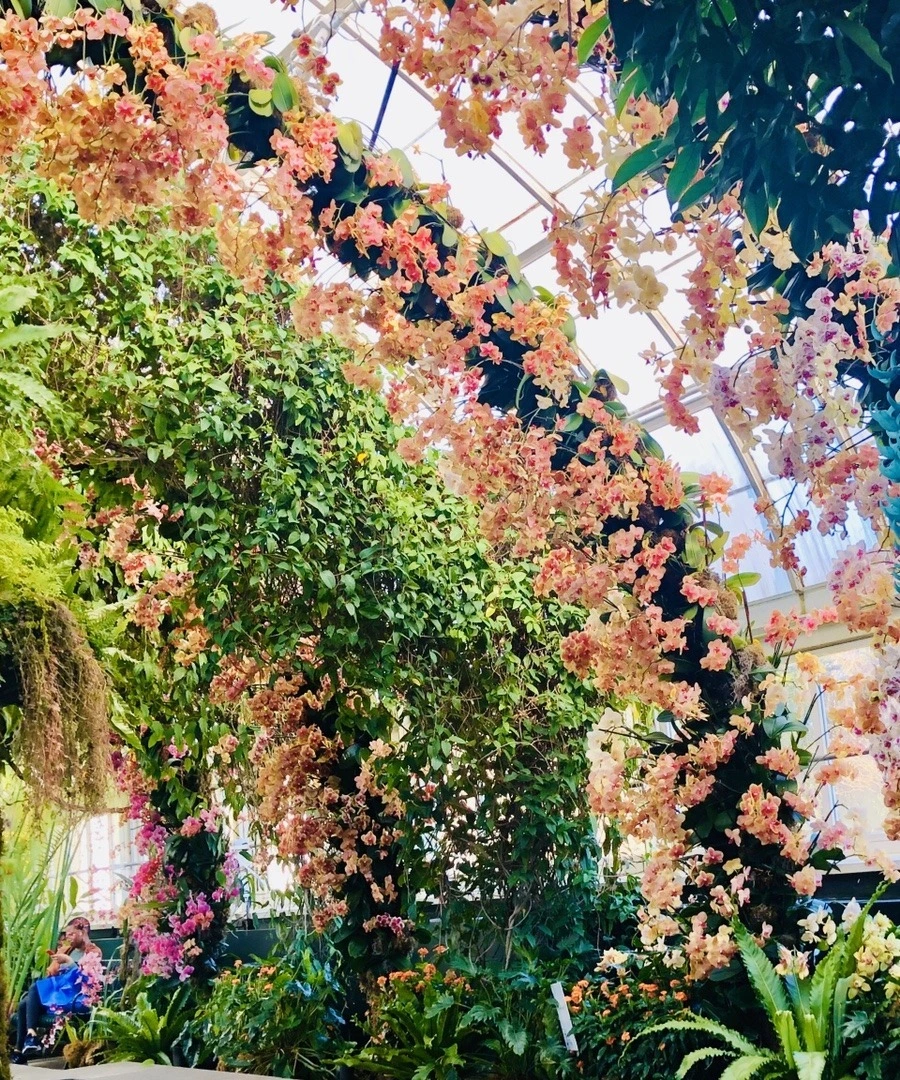 dOw4j7Ka3N5Zgwkx9Y6zoOu8Bas