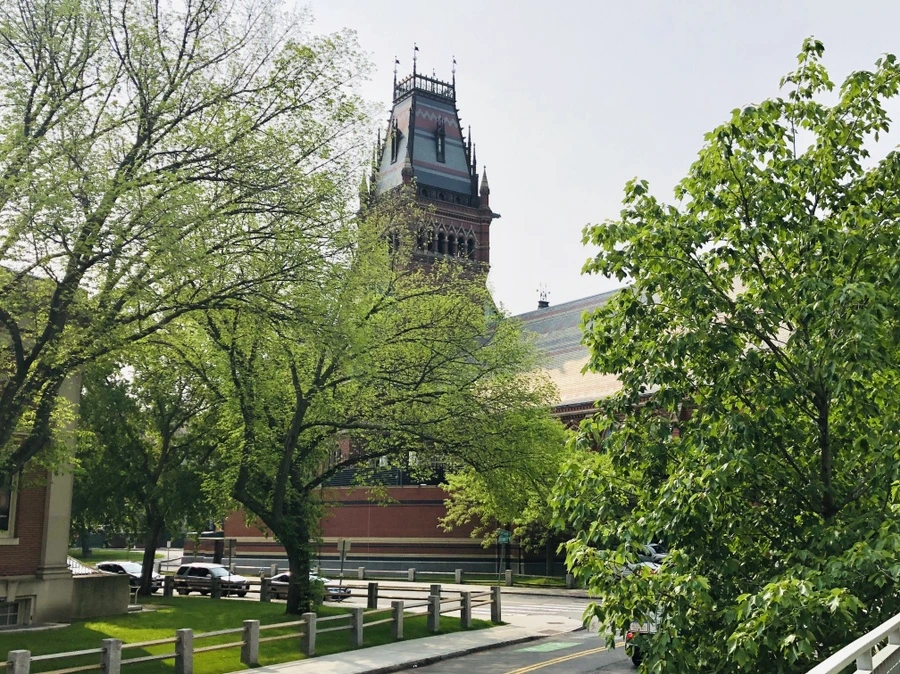 IMG_5416.jpg?type=w966