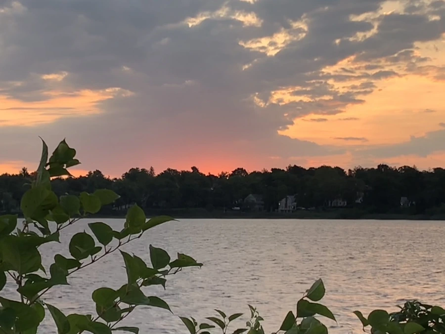 IMG_1679.jpg?type=w966