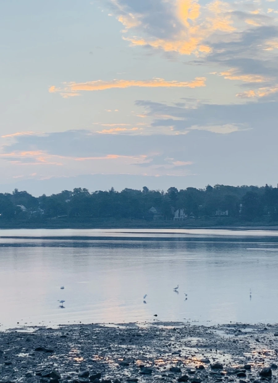 IMG_8176.jpg?type=w966