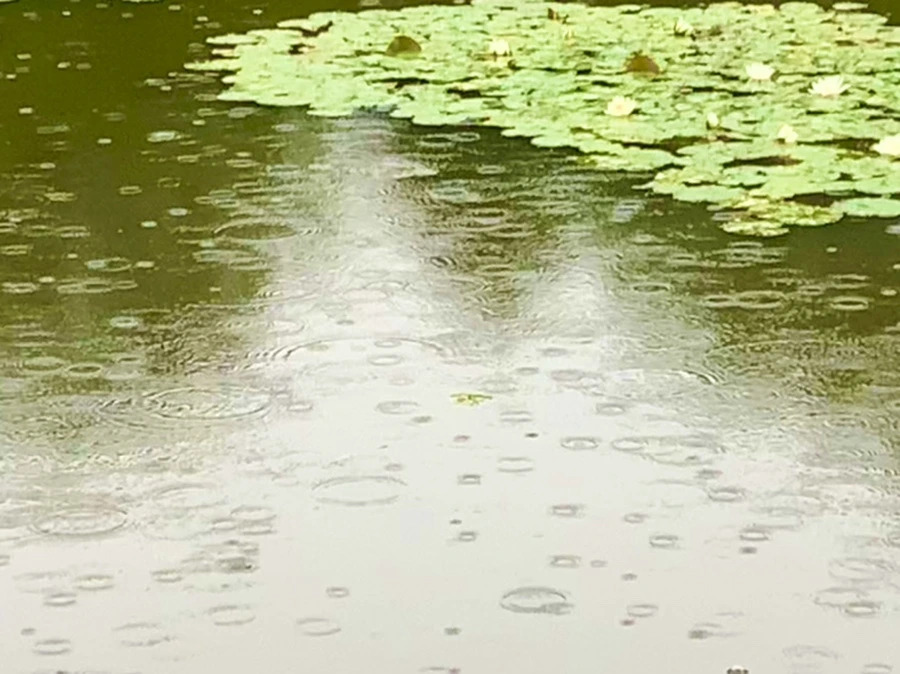 IMG_8315.jpg?type=w966