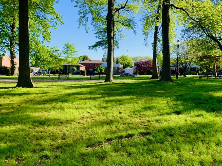 IMG_2171.jpg?type=w966