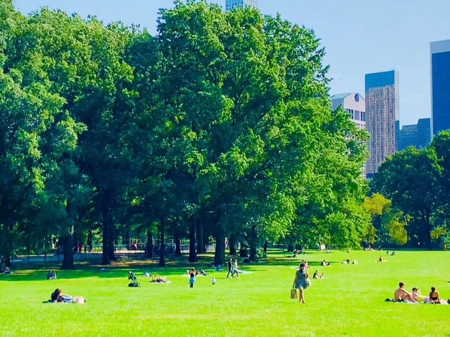 IMG_9691.jpg?type=w966