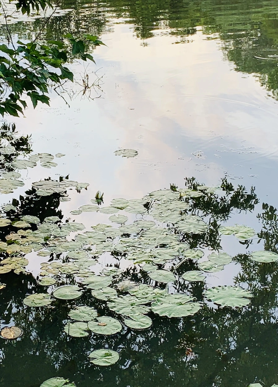 IMG_1506.jpg?type=w966