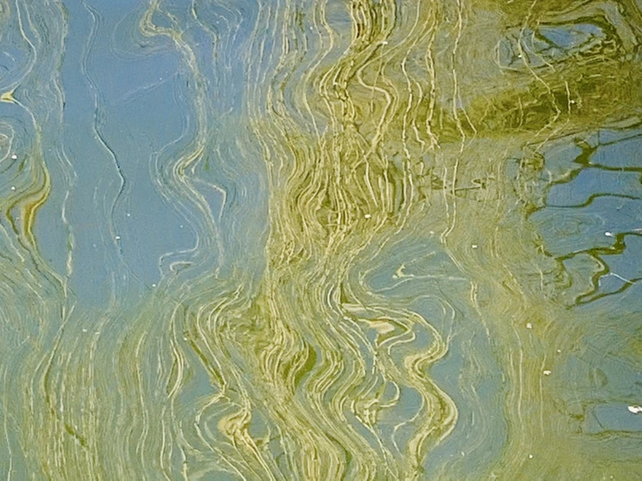 IMG_0601.jpg?type=w966