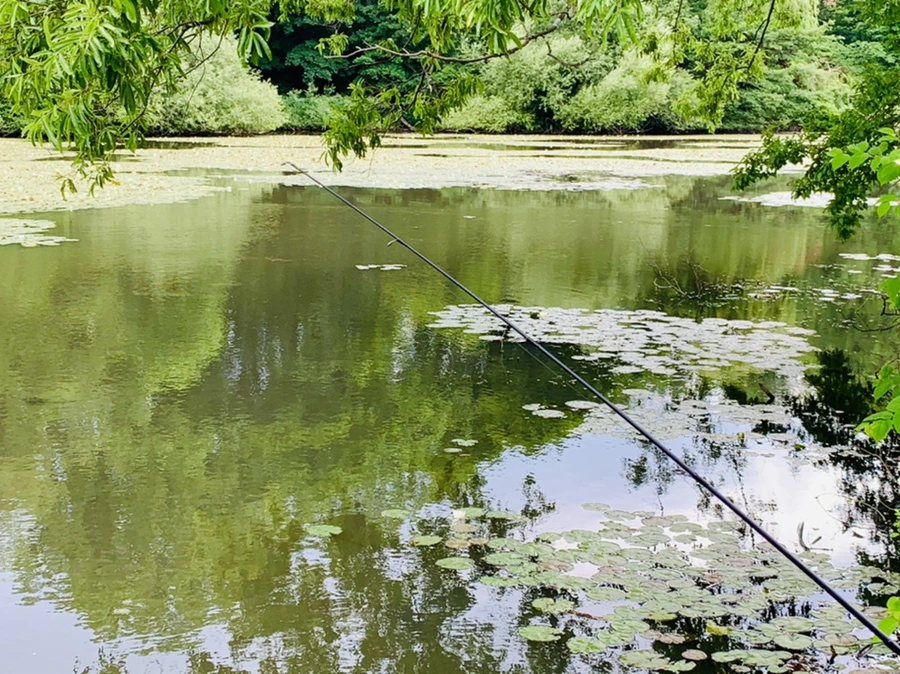 IMG_0730.jpg?type=w966