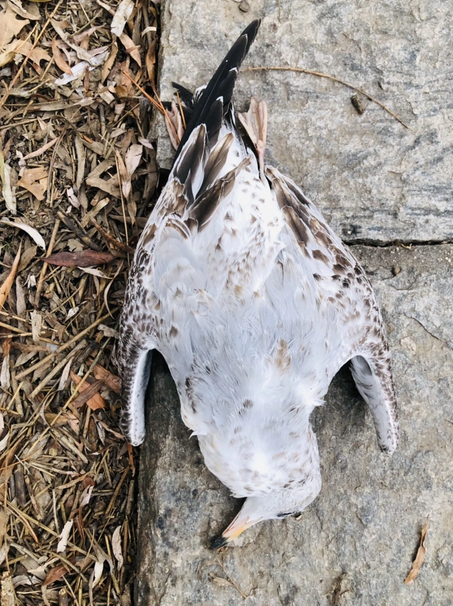 IMG_1928.jpg?type=w966