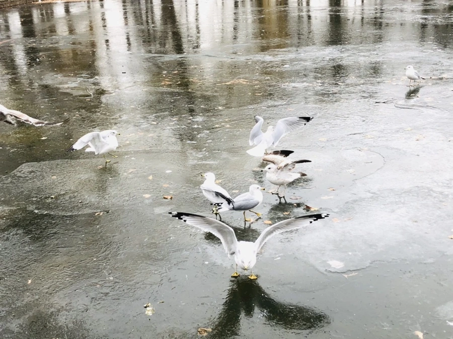 IMG_8259.jpg?type=w966