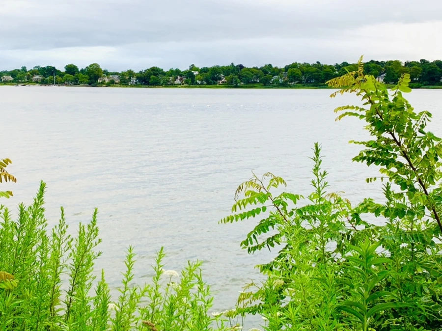 IMG_7716.jpg?type=w966