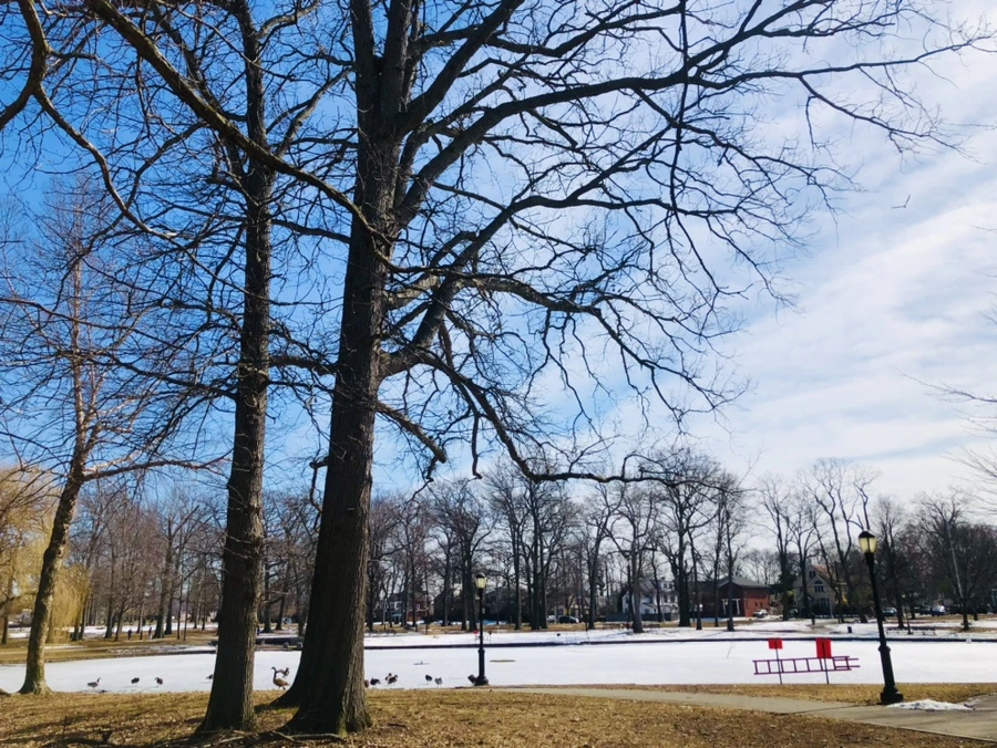 IMG_5459.jpg?type=w966