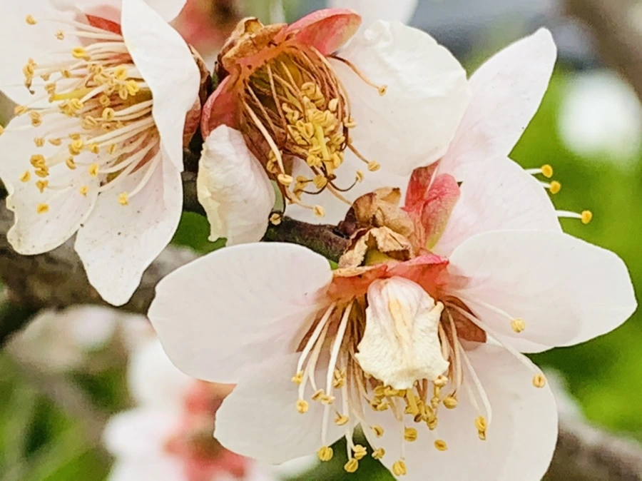 IMG_3570.jpg?type=w966