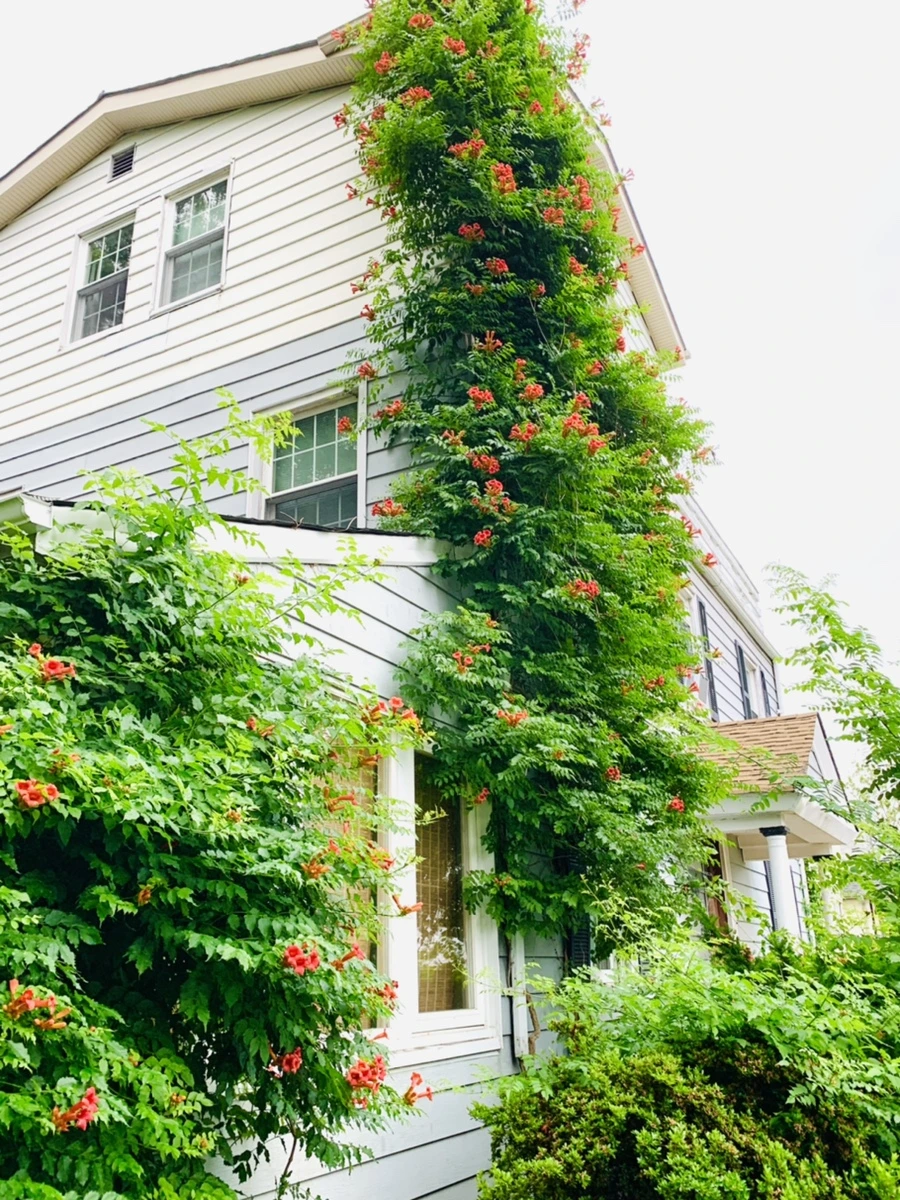 IMG_7449.jpg?type=w966