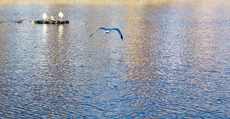 L4-U5aTPhkD4FIQyas1UpxjcDxE