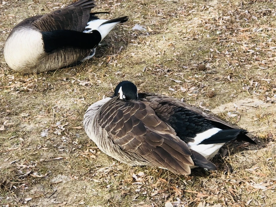 IMG_5783.jpg?type=w966