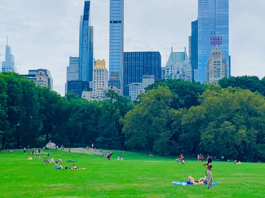 IMG_1576.jpg?type=w966