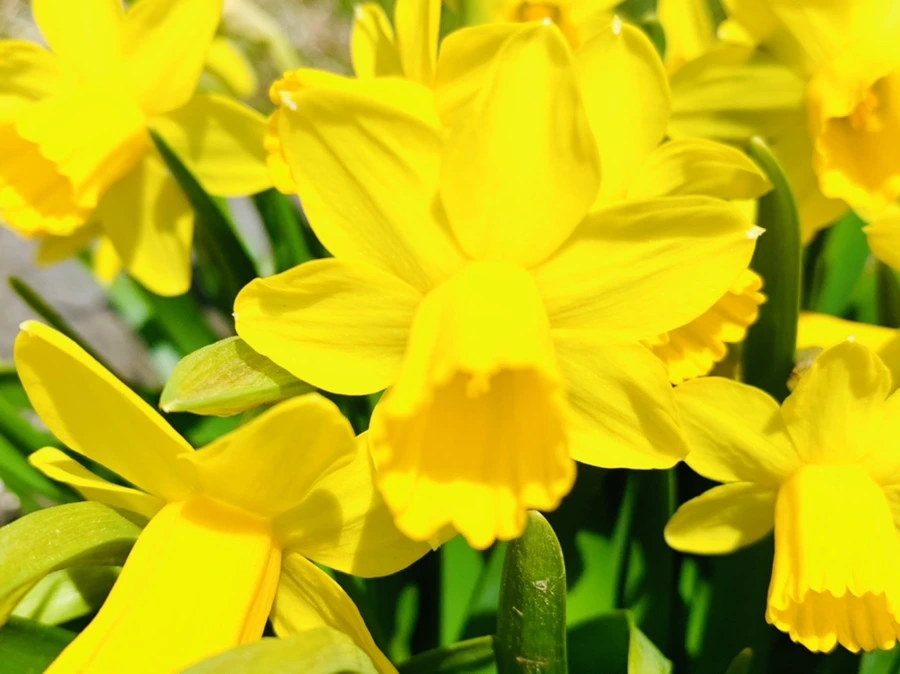 IMG_3381.jpg?type=w966