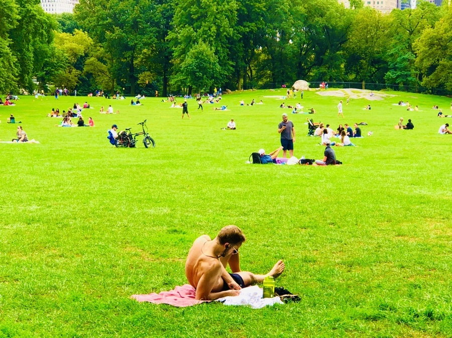 IMG_0074.jpg?type=w966