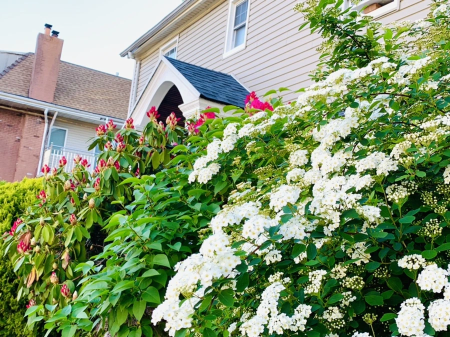 IMG_0571.jpg?type=w966