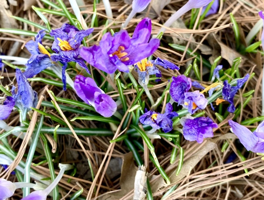 IMG_1426.jpg?type=w966