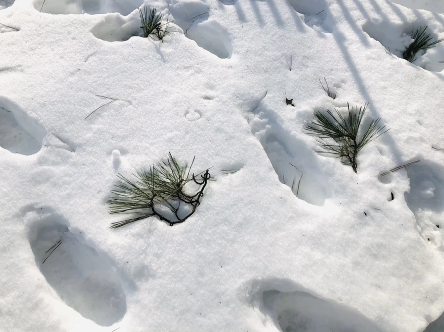 IMG_0134.jpg?type=w966