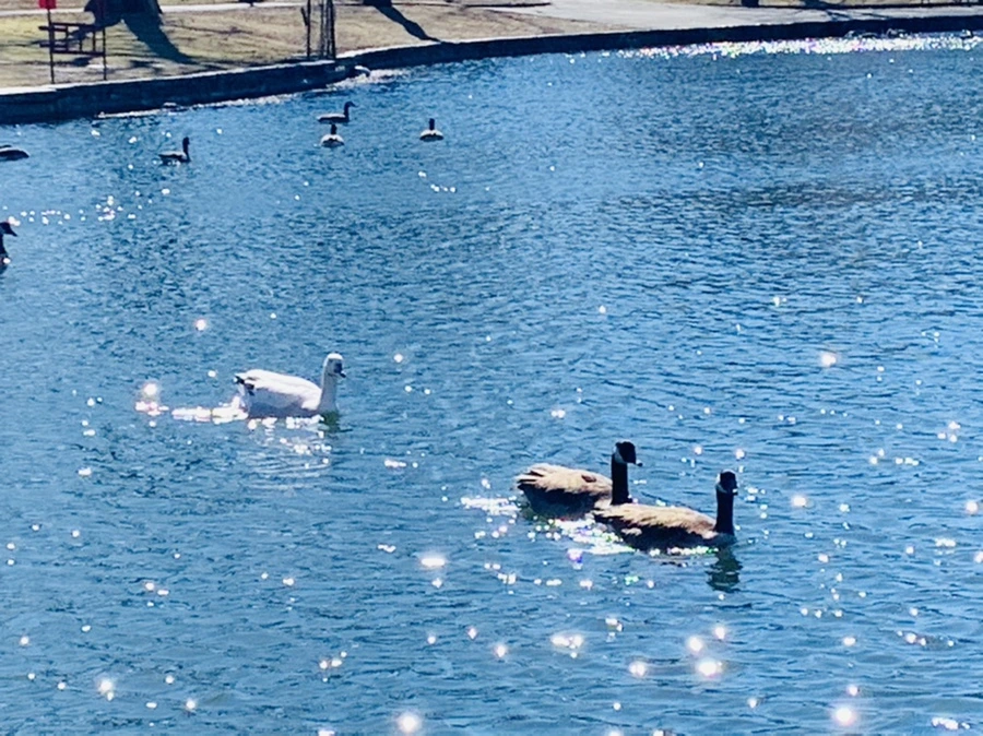 IMG_7613.jpg?type=w966