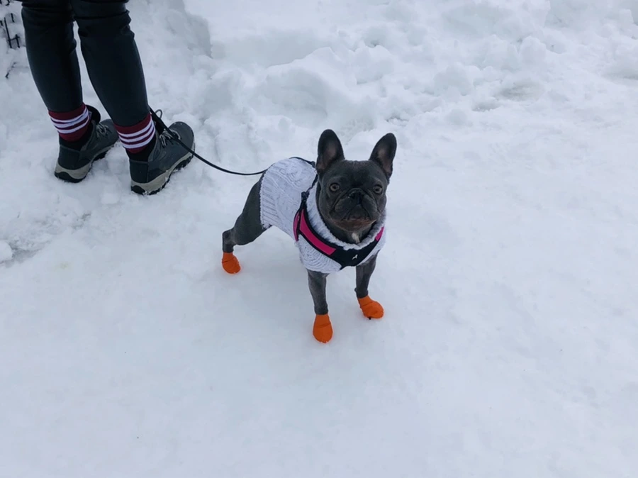 IMG_9593.jpg?type=w966