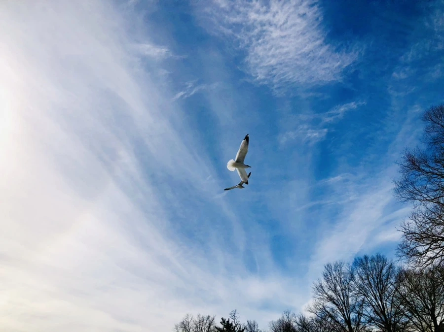 IMG_3202.jpg?type=w966