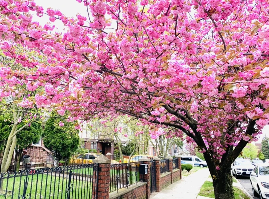 IMG_5462.jpg?type=w966