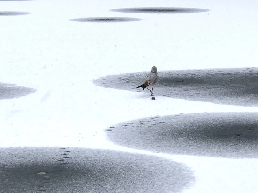 IMG_5987.jpg?type=w966