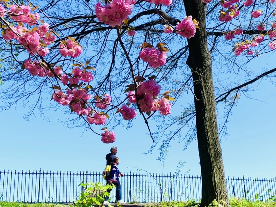 IMG_5831.jpg?type=w966