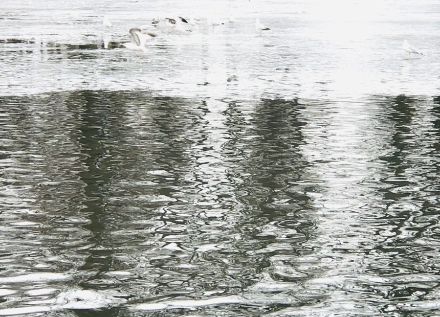 IMG_5944.jpg?type=w966