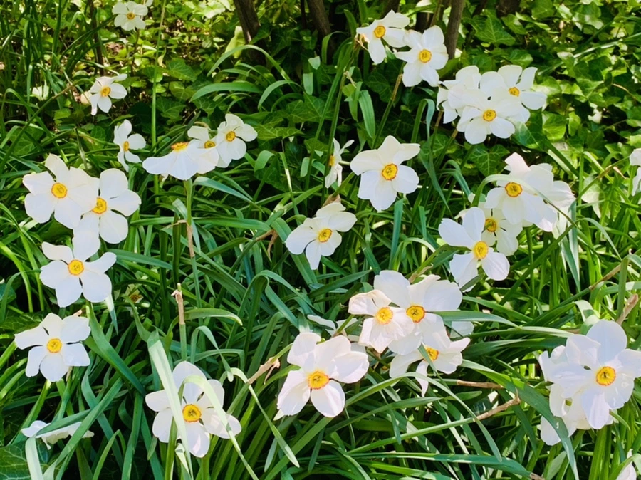 IMG_5743.jpg?type=w966