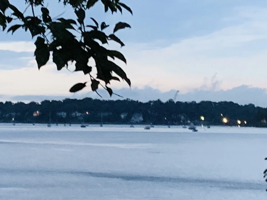 IMG_9204.jpg?type=w966