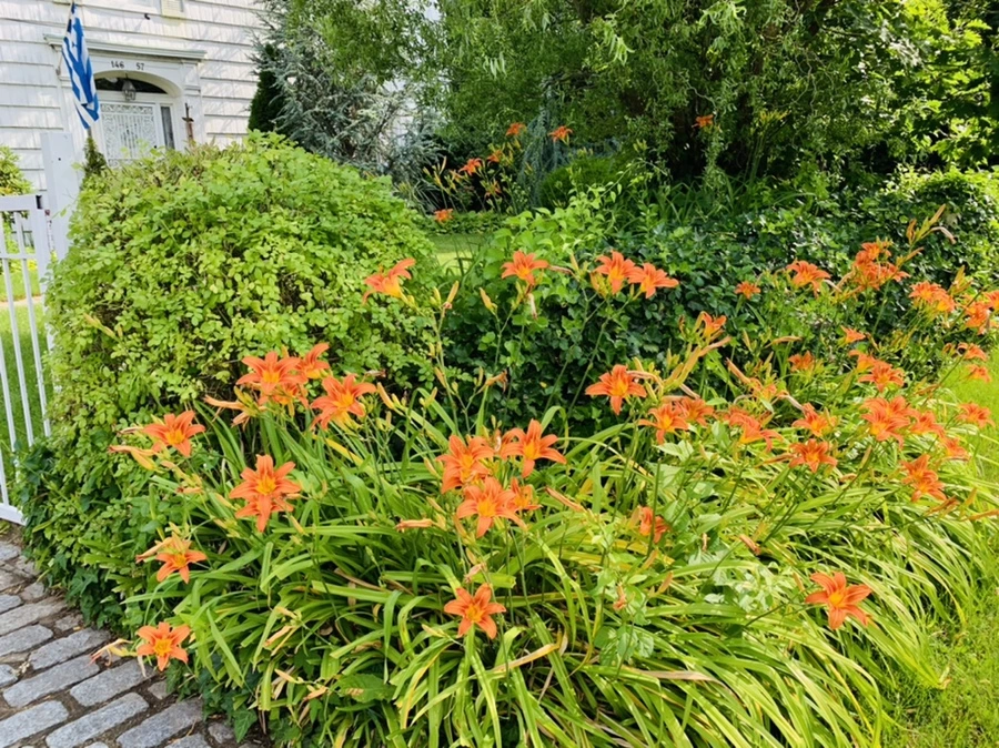 IMG_5036.jpg?type=w966