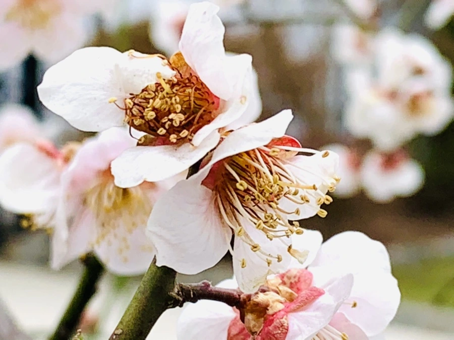 IMG_3591.jpg?type=w966