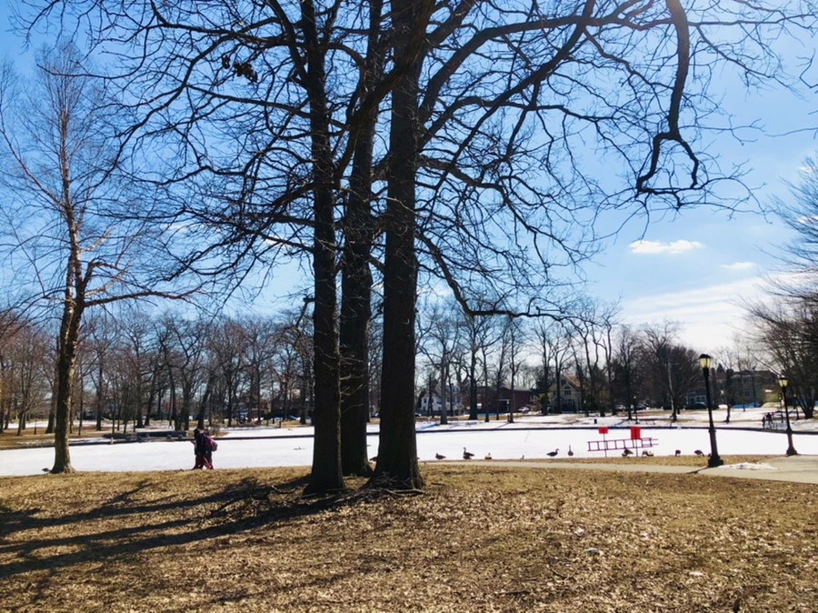 IMG_5097.jpg?type=w966