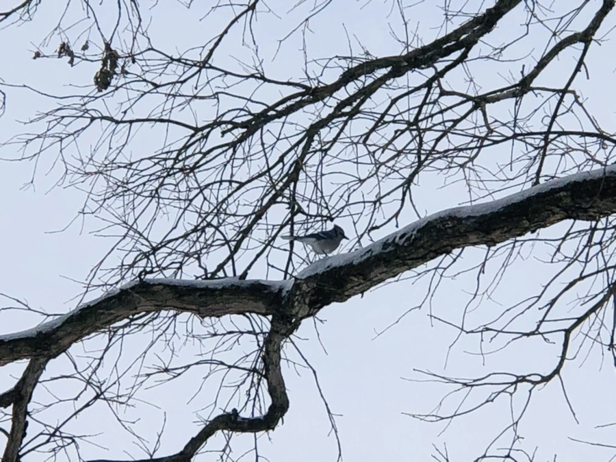 IMG_9476.jpg?type=w966