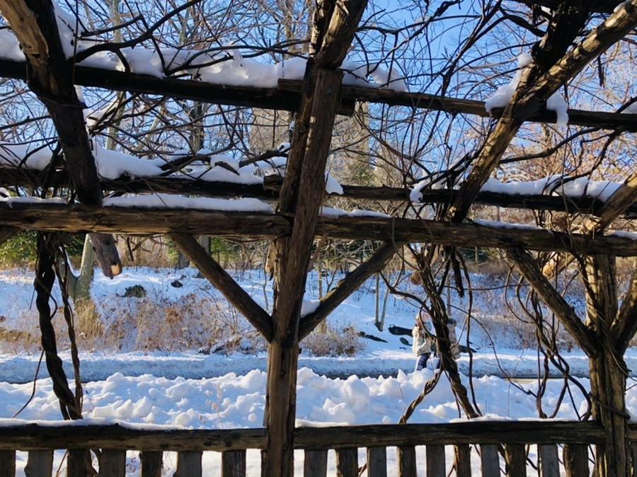 IMG_9904.jpg?type=w966