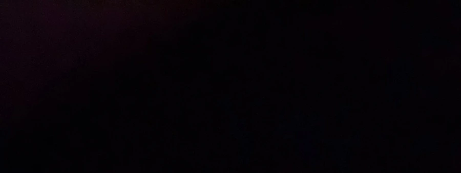 IMG_0086.jpg?type=w966