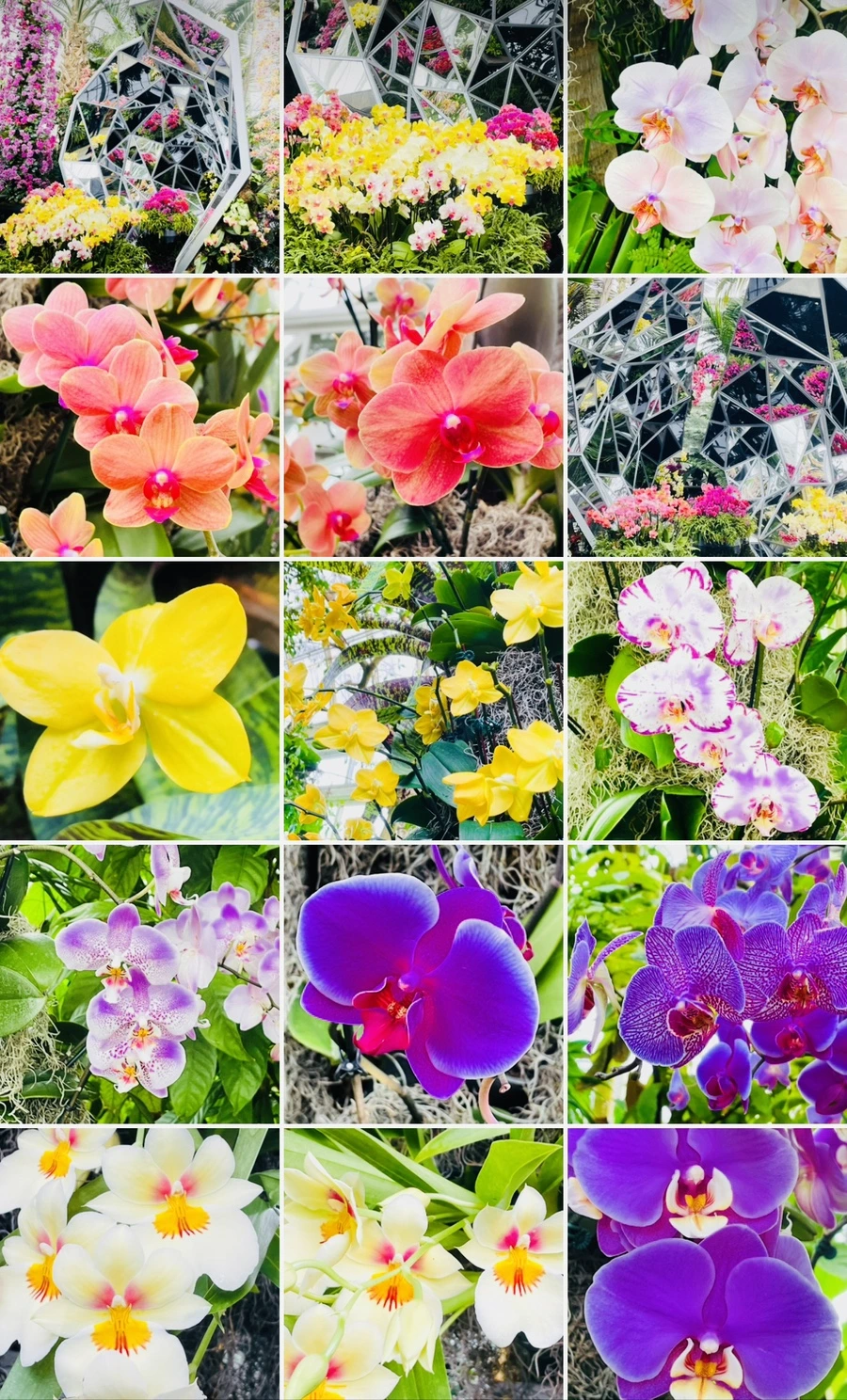 IMG_1429.jpg?type=w966