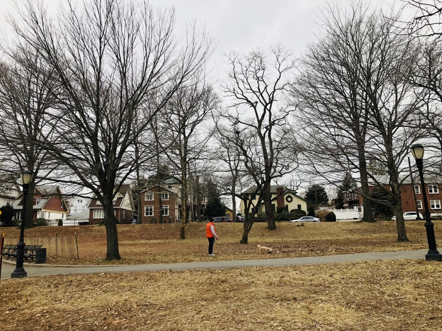 IMG_9066.jpg?type=w966