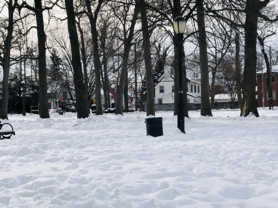 IMG_1667.jpg?type=w966