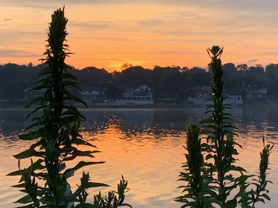 IMG_6788.jpg?type=w966